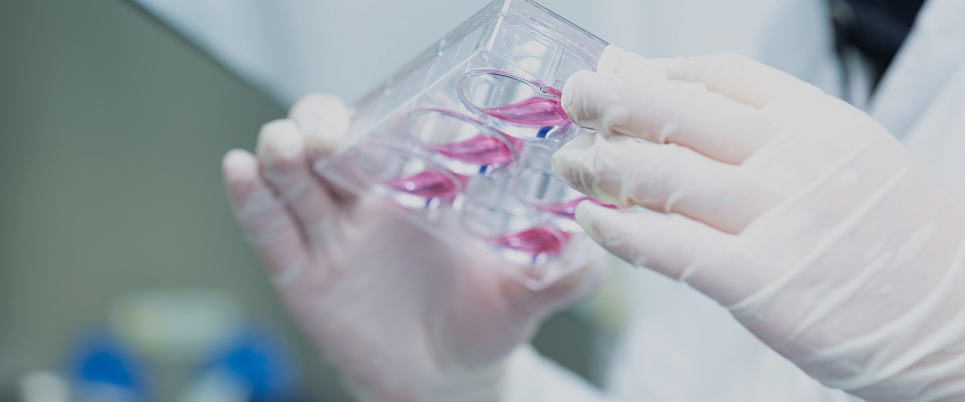 森西賽智科技宣布成為OptiScan在中國的新戰(zhàn)略合作伙伴